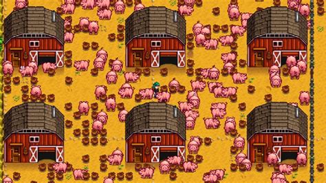 stardew igg|Pig .